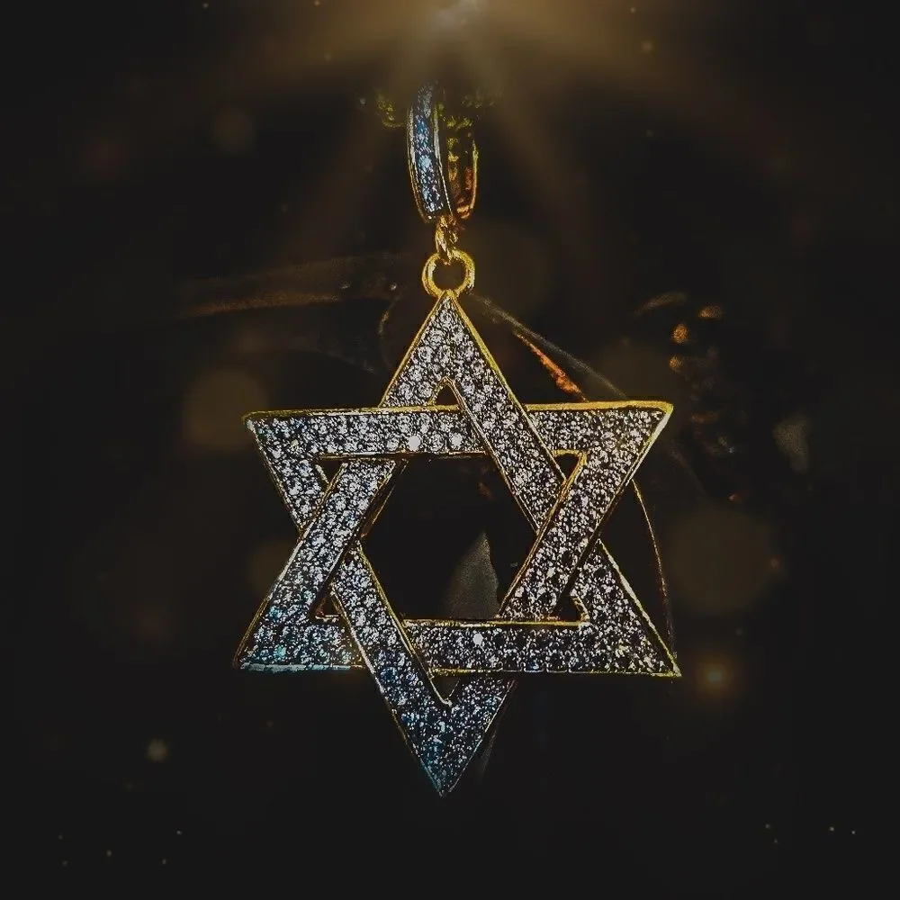 14k Gp Stainless steel Star of David Necklace